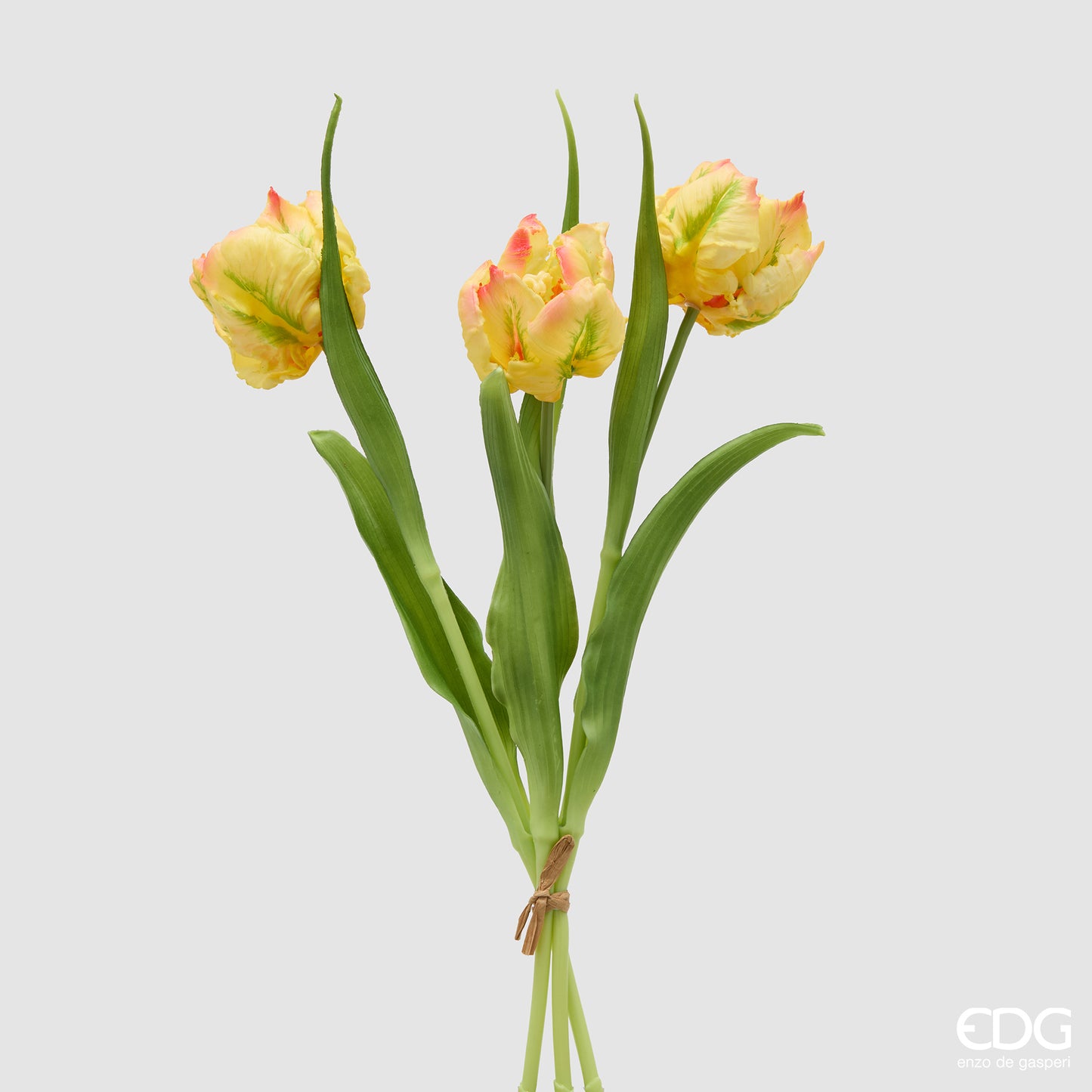 Tulipano Parrot 3 Fiori H 40 cm – EDG