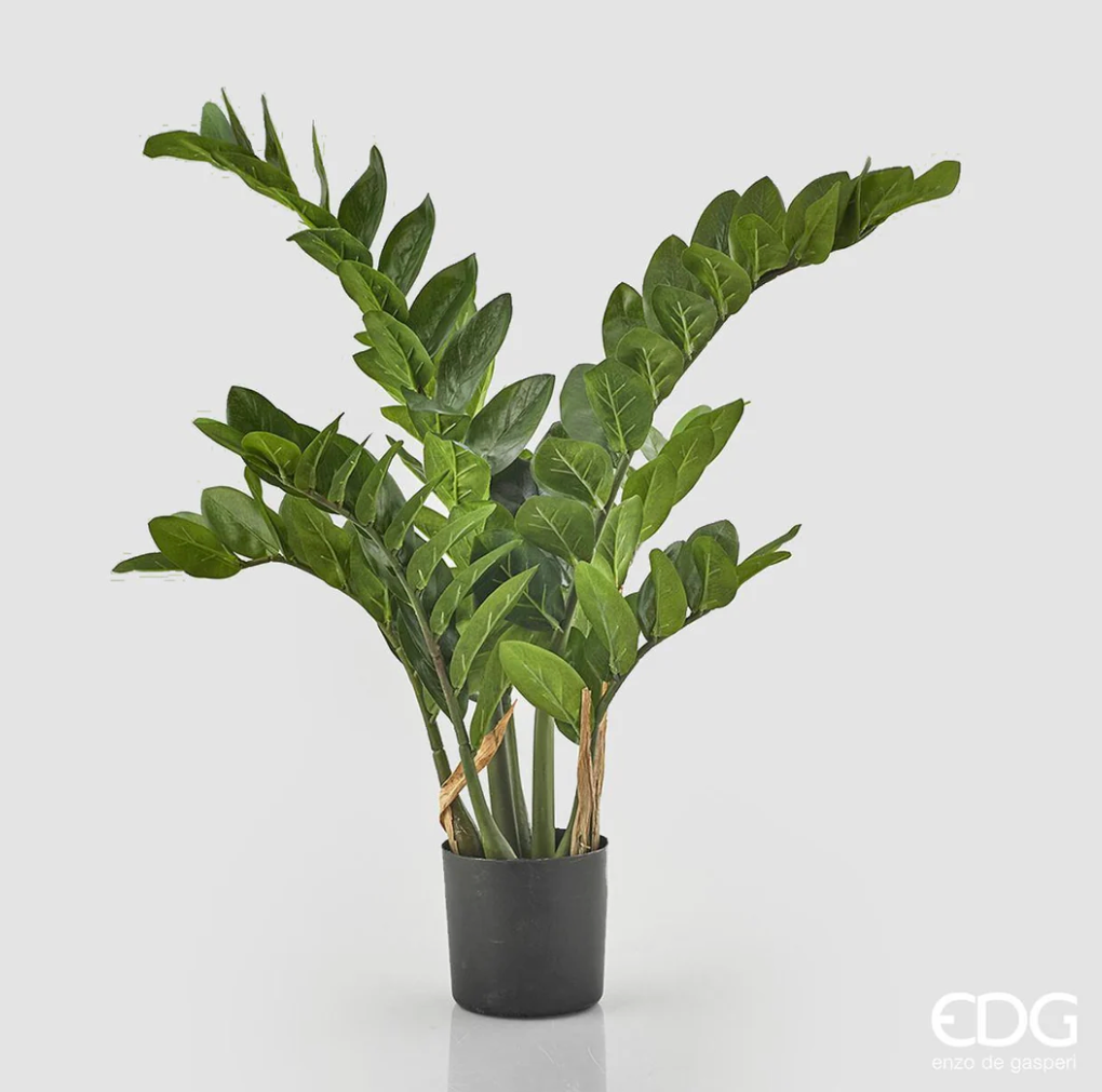 Pianta Artificiale Zamifolia C/N Vaso EDG - Enzo De Gasperi