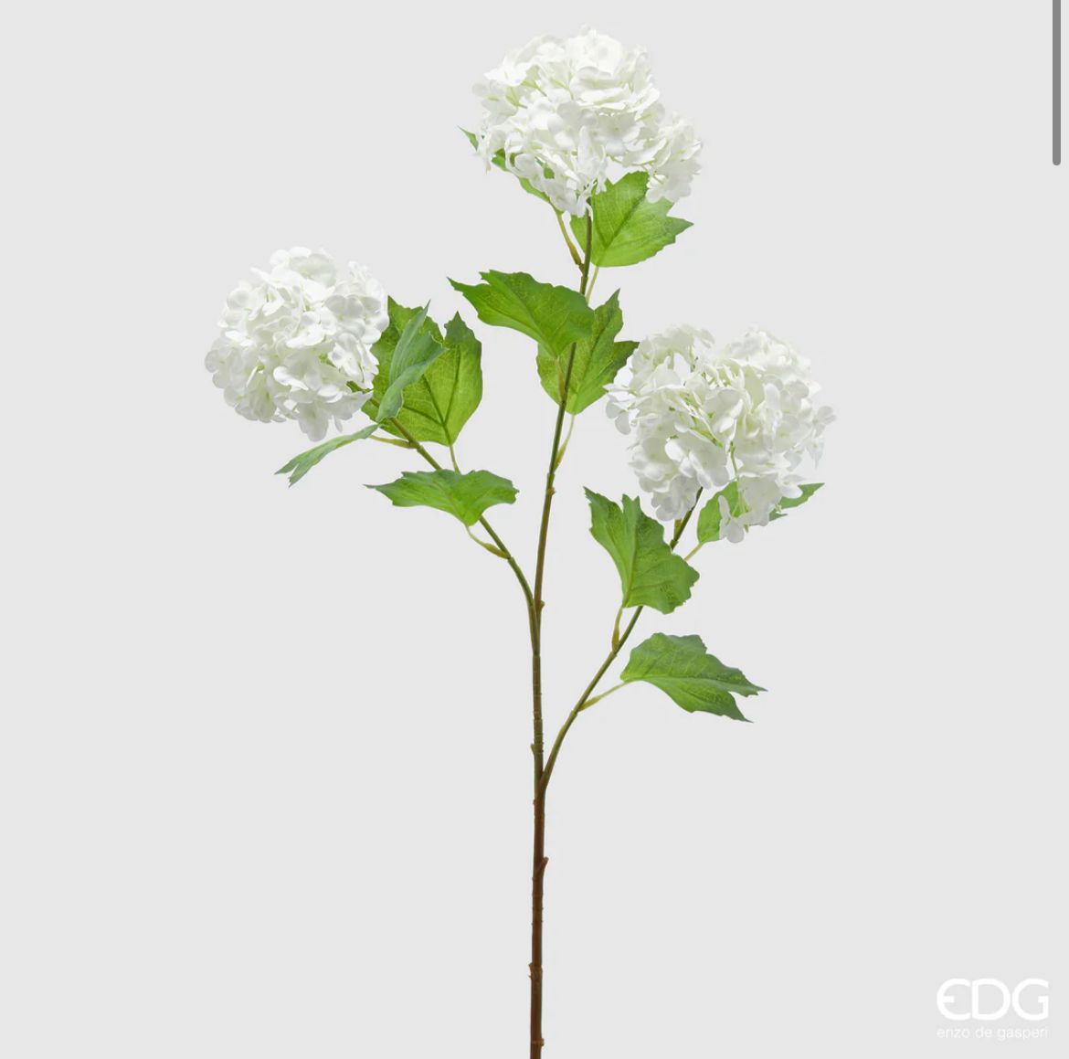 Ramo di Viburno EDG Enzo De Gasperi – 3 Fiori con Foglie H70cm