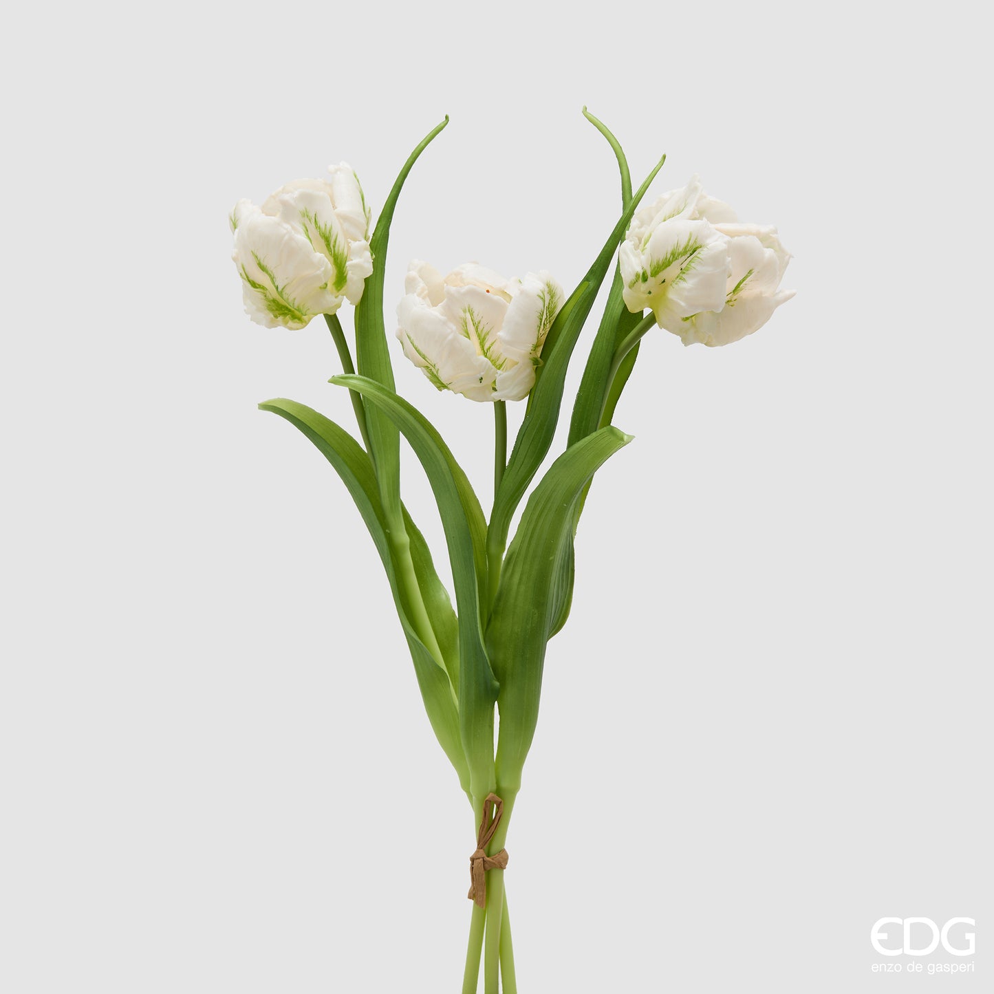 Tulipano Parrot 3 Fiori H 40 cm – EDG