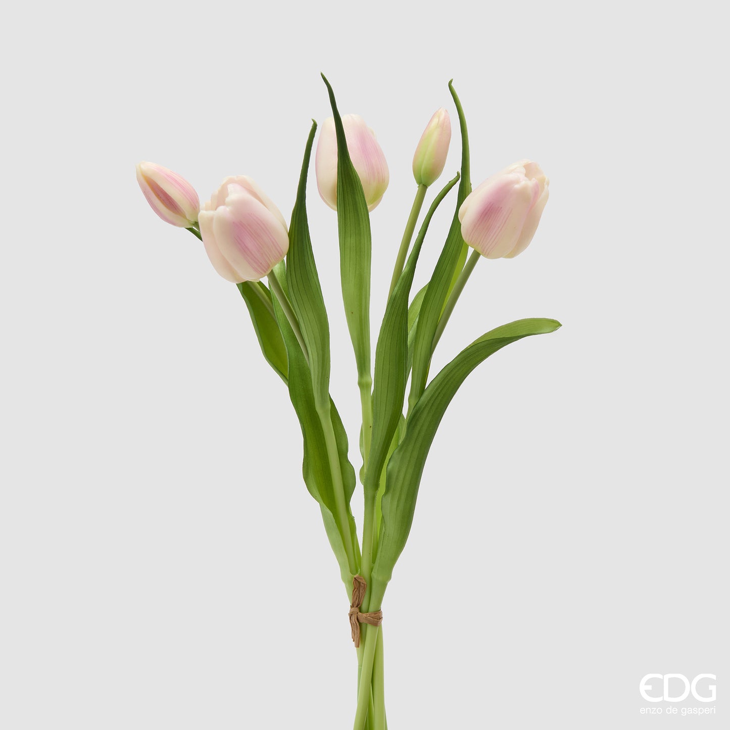 Tulipano Chiuso EDG White pink – Bouquet x4 H 40 cm