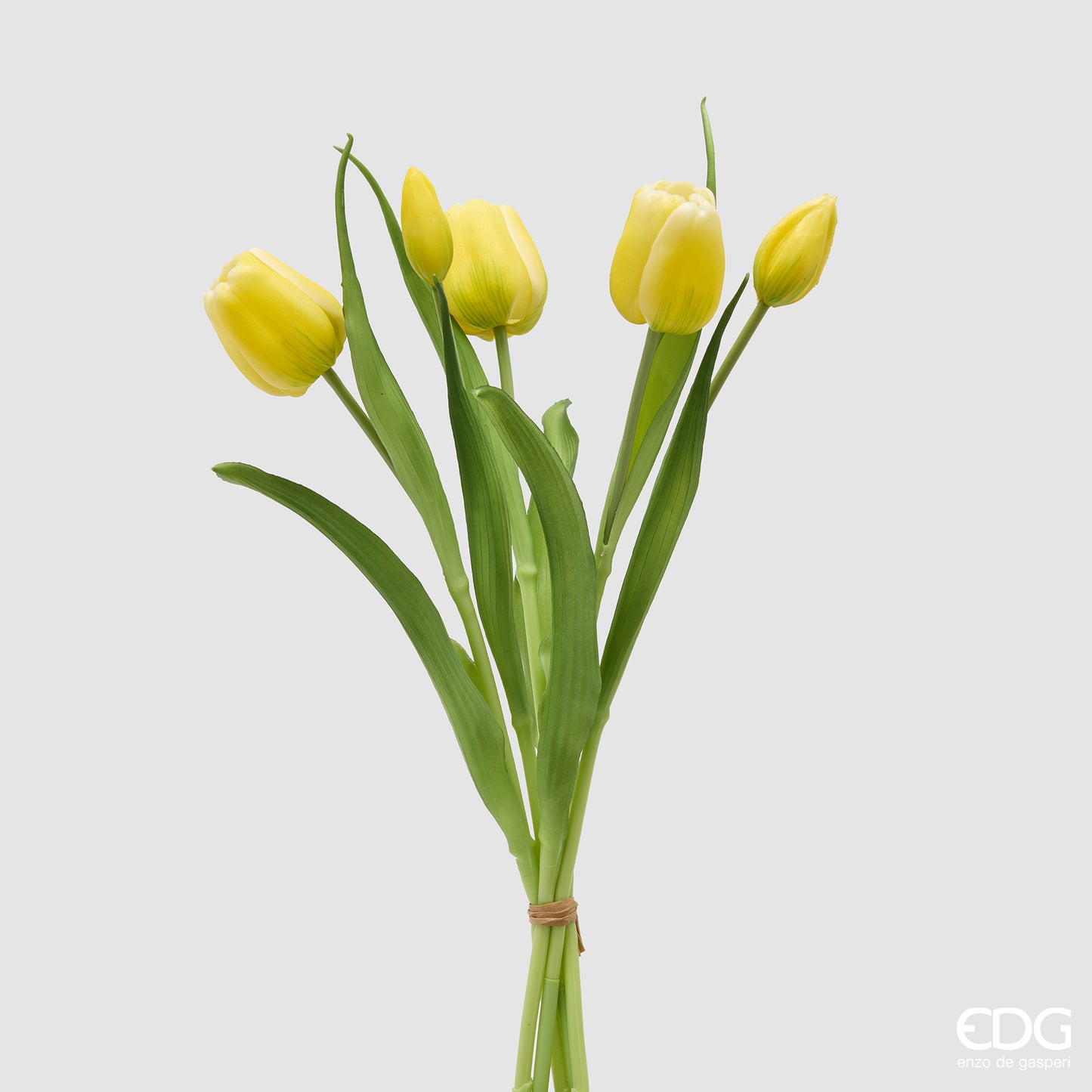 Tulipano Chiuso EDG White pink – Bouquet x4 H 40 cm