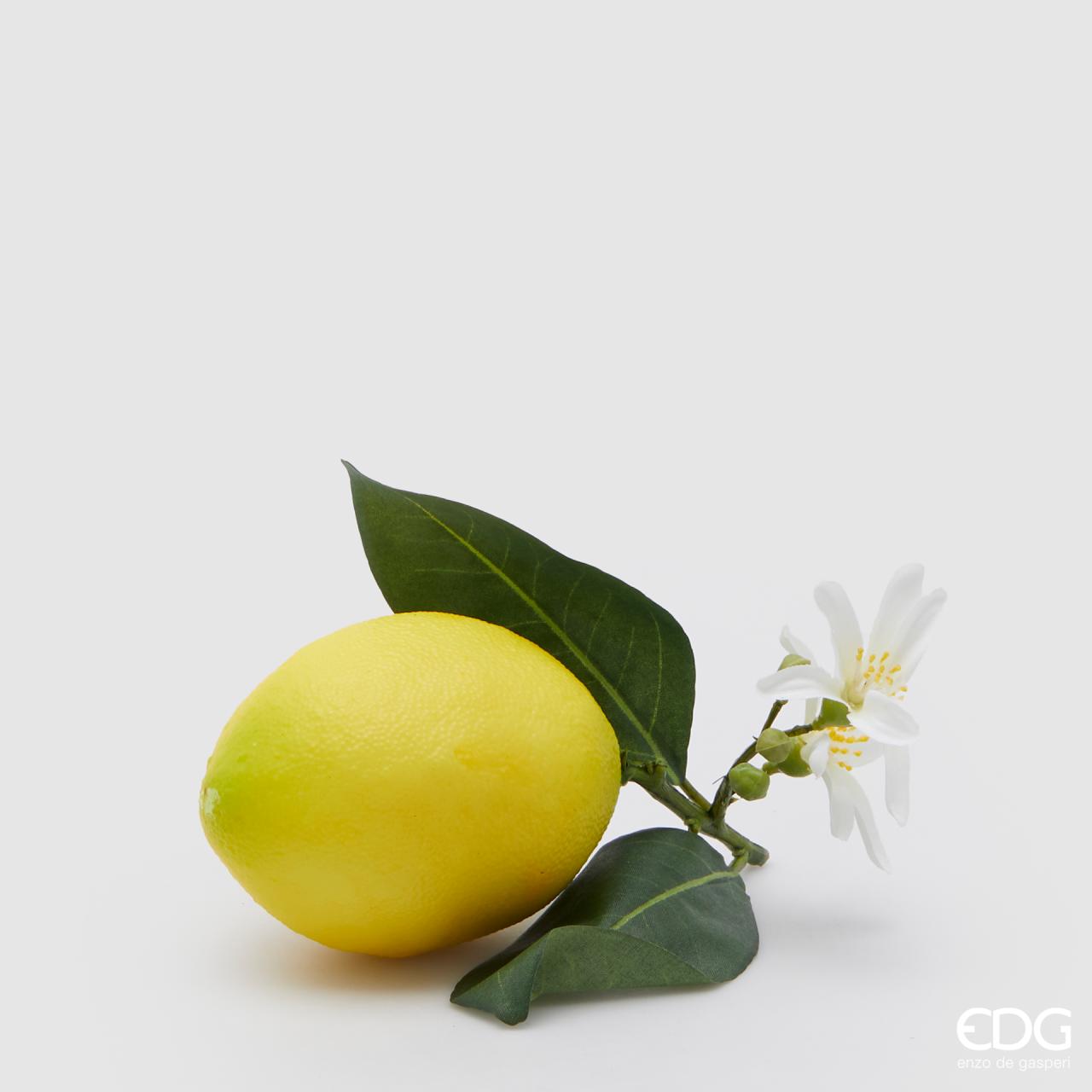 Limone Duke Con Foglie e Fiori 12 cm - EDG Enzo De Gasperi