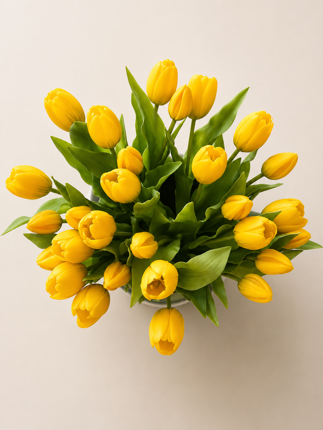 Tulipani Icona Bellomia – Set Boquet Soft Touch H30 cm