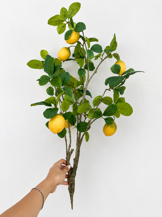 Limone rex ramo con foglie h78 cm - EDG