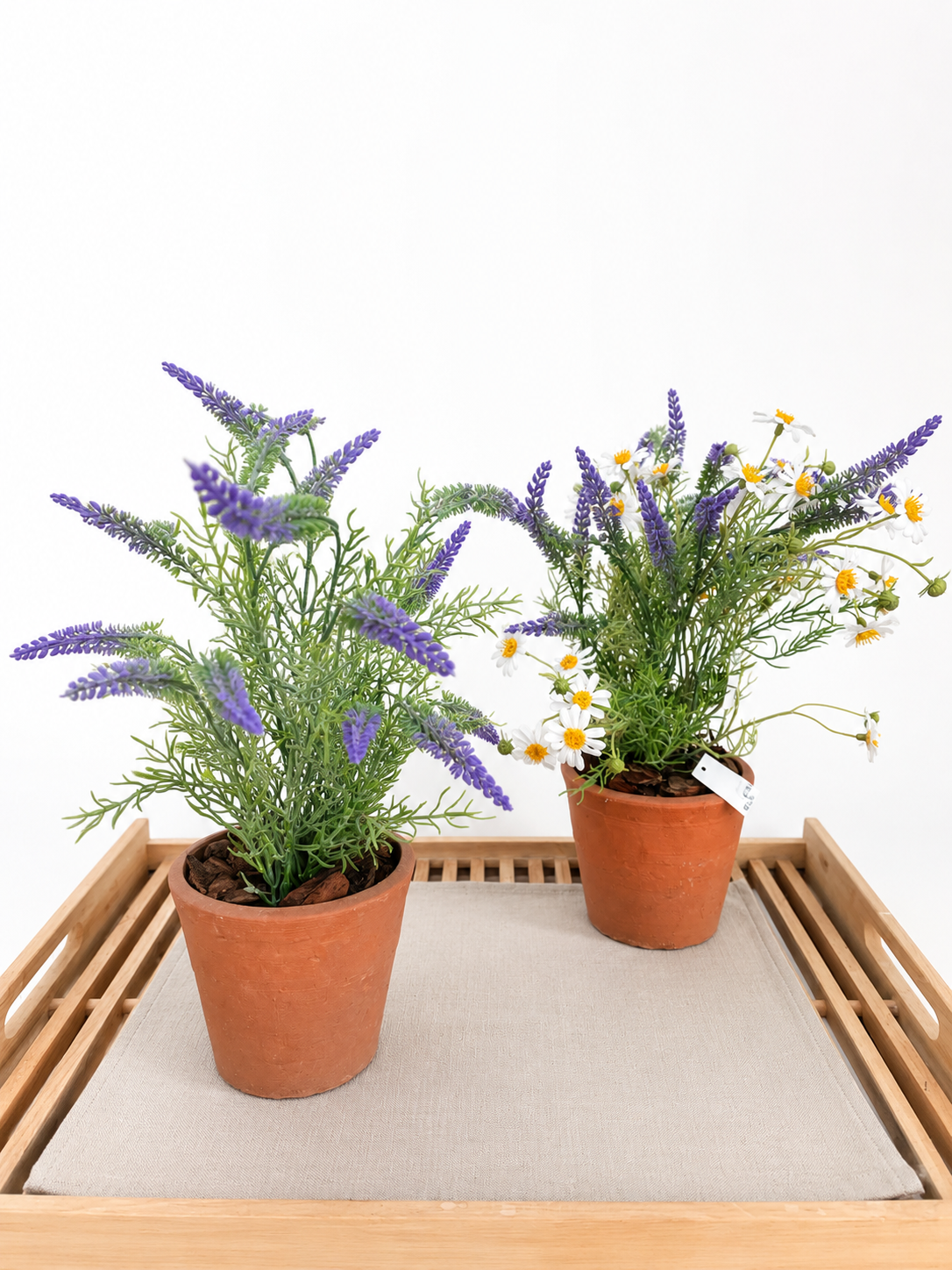 Vaso Composto Bellomia - Fioritura Mediterranea