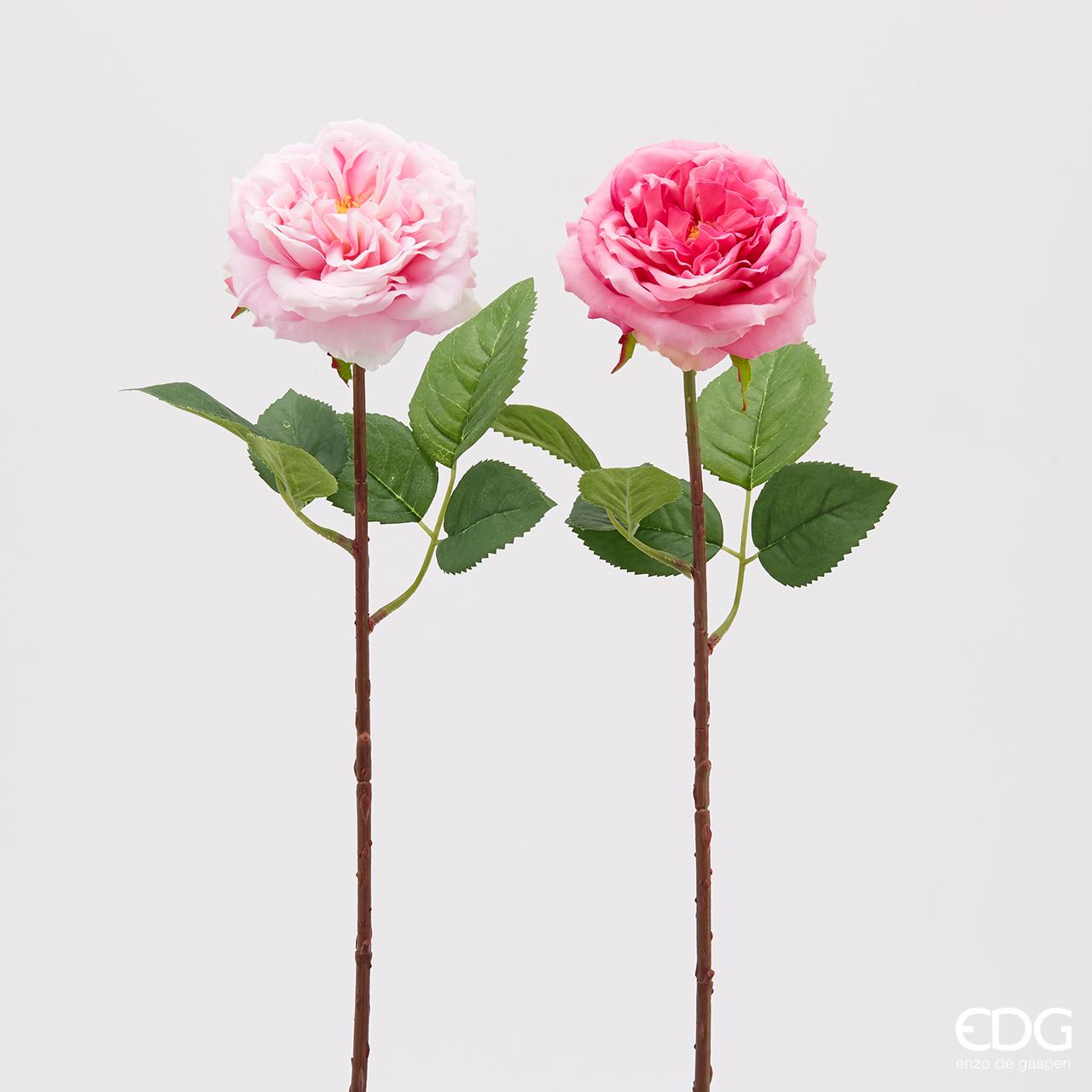 Rosa Alma Olis H48 Cm - EDG - Enzo De Gasperi