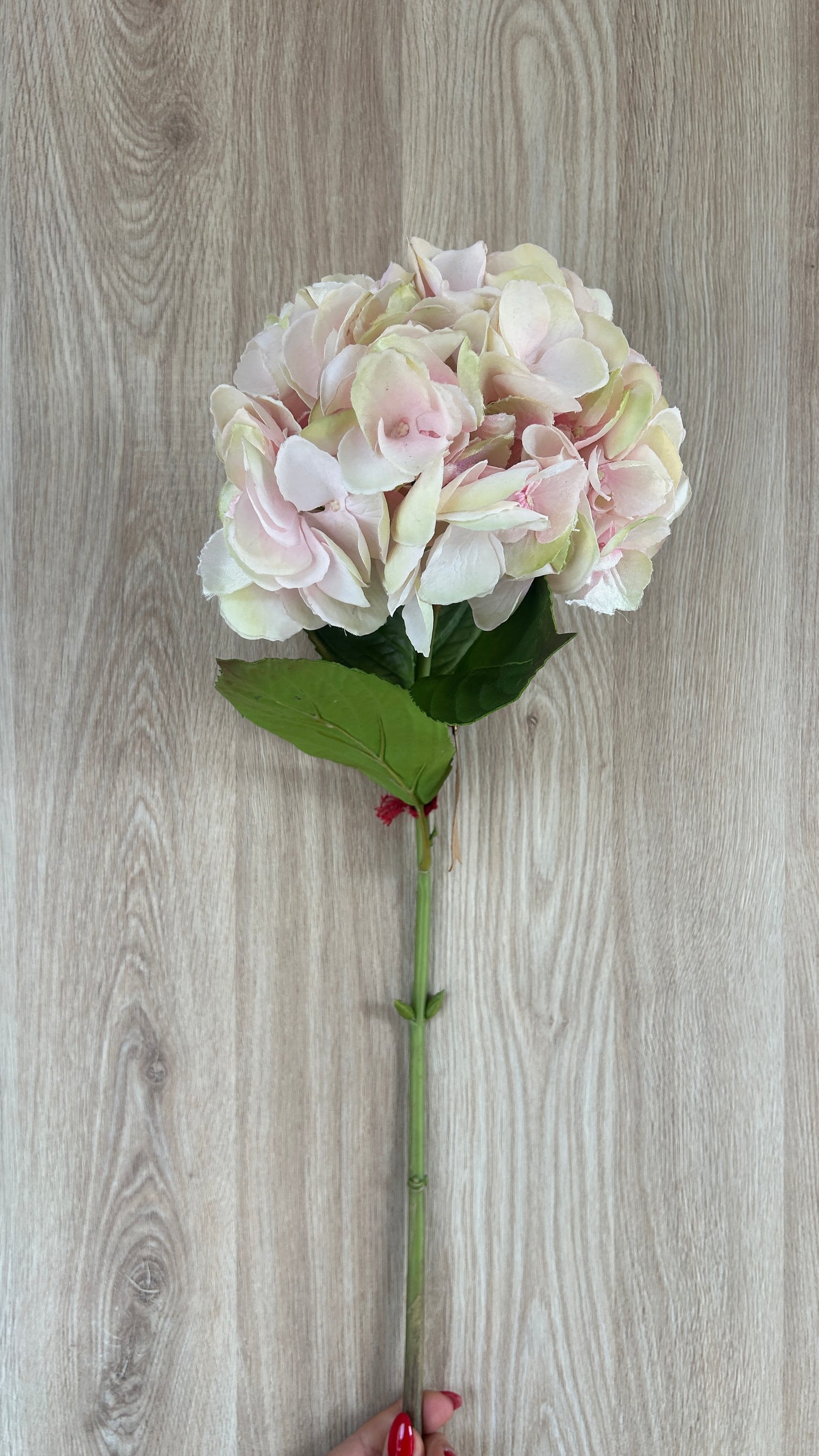 Fiore Ortensia Dea H74 Cm - EDG - Enzo De Gasperi