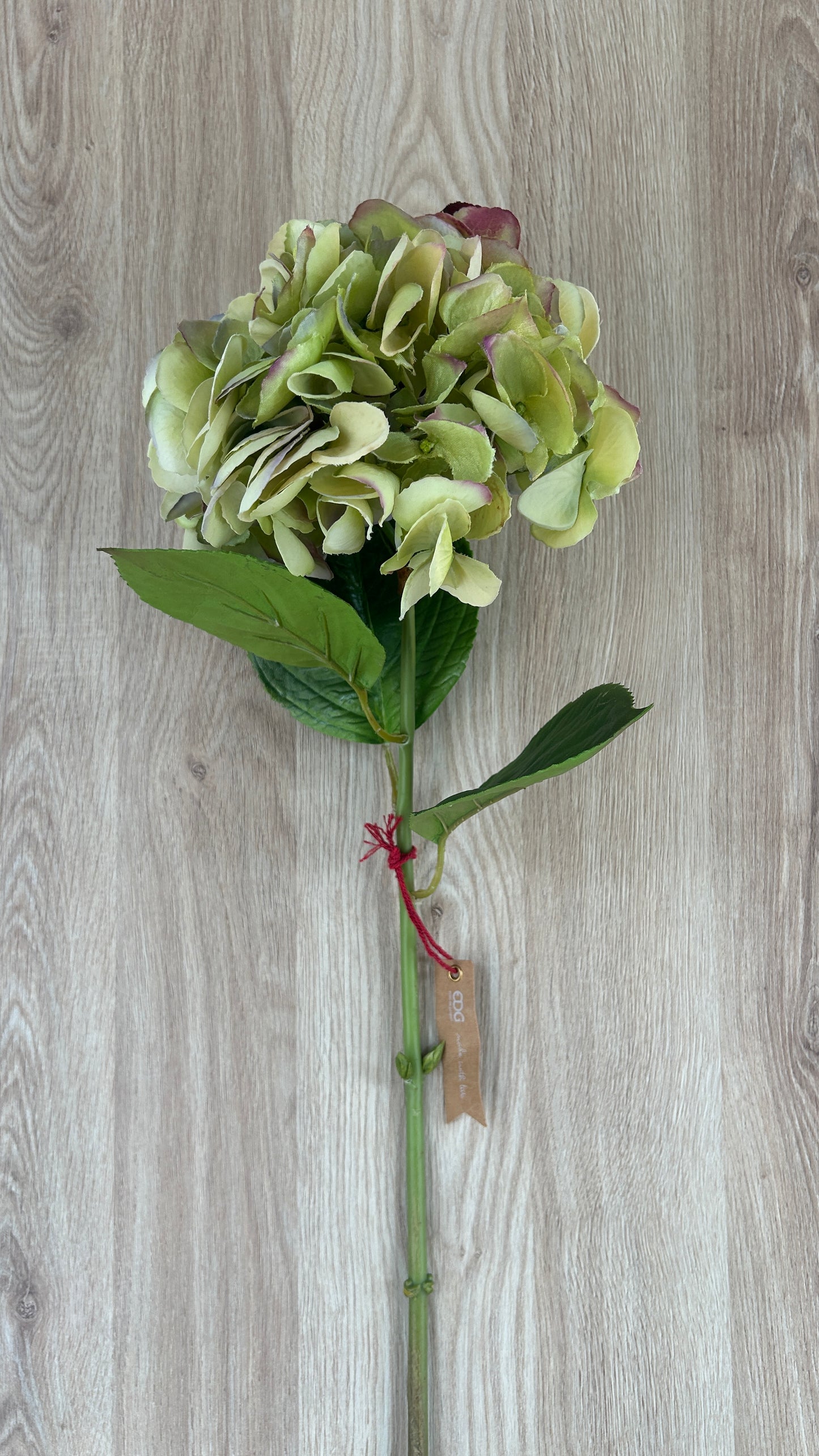Fiore Ortensia Dea H74 Cm - EDG - Enzo De Gasperi