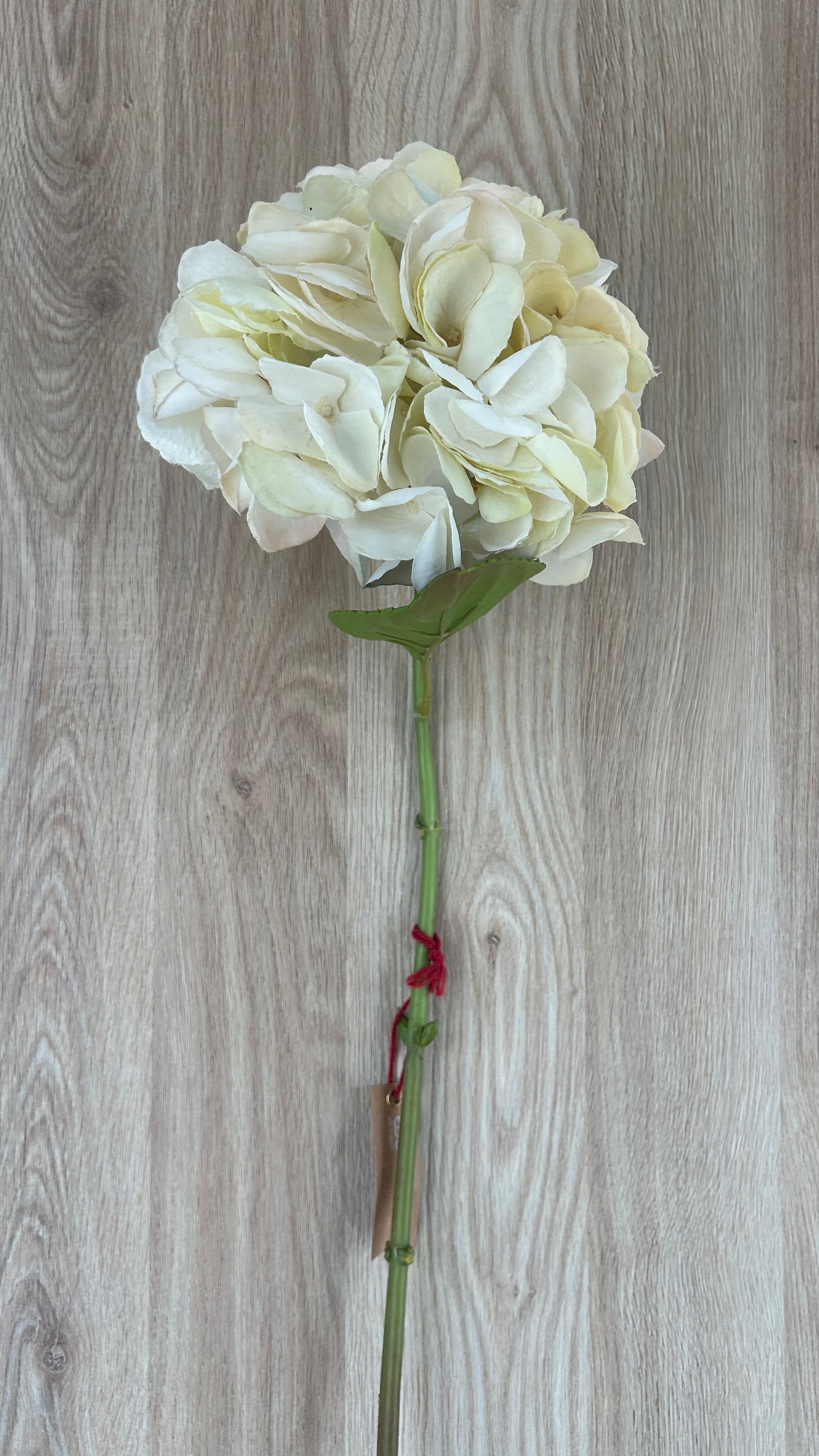 Fiore Ortensia Dea H74 Cm - EDG - Enzo De Gasperi