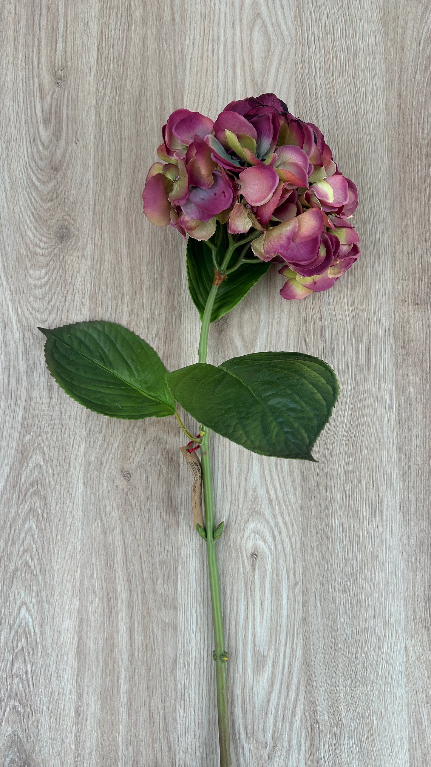 Fiore Ortensia Dea H74 Cm - EDG - Enzo De Gasperi
