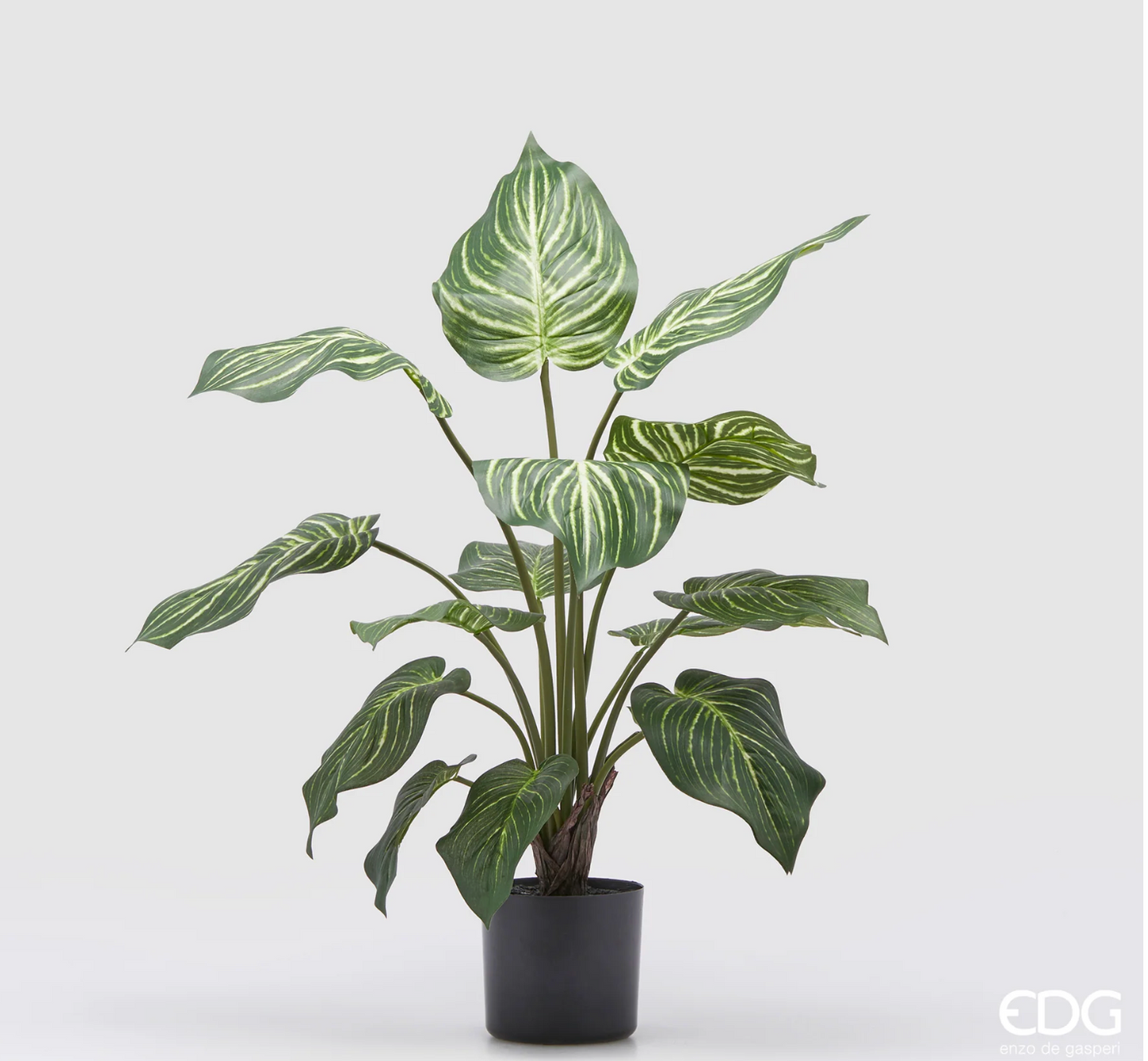 EDG Enzo De Gasperi Pianta Artificiale Calathea con Vaso H60 cm