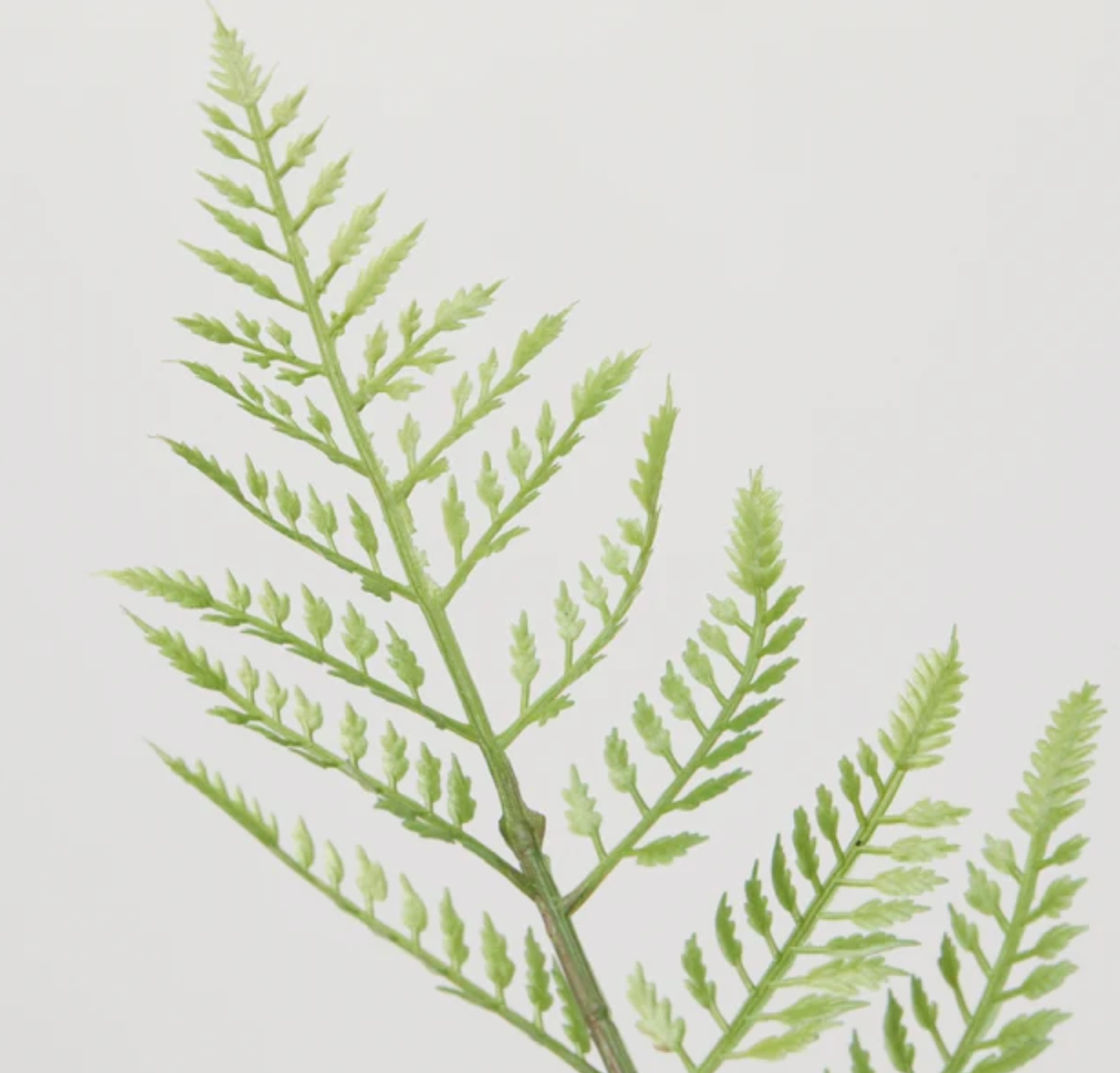 Felce cespuglio artificiale verde chiaro H97 cm EDG Enzo De Gasperi