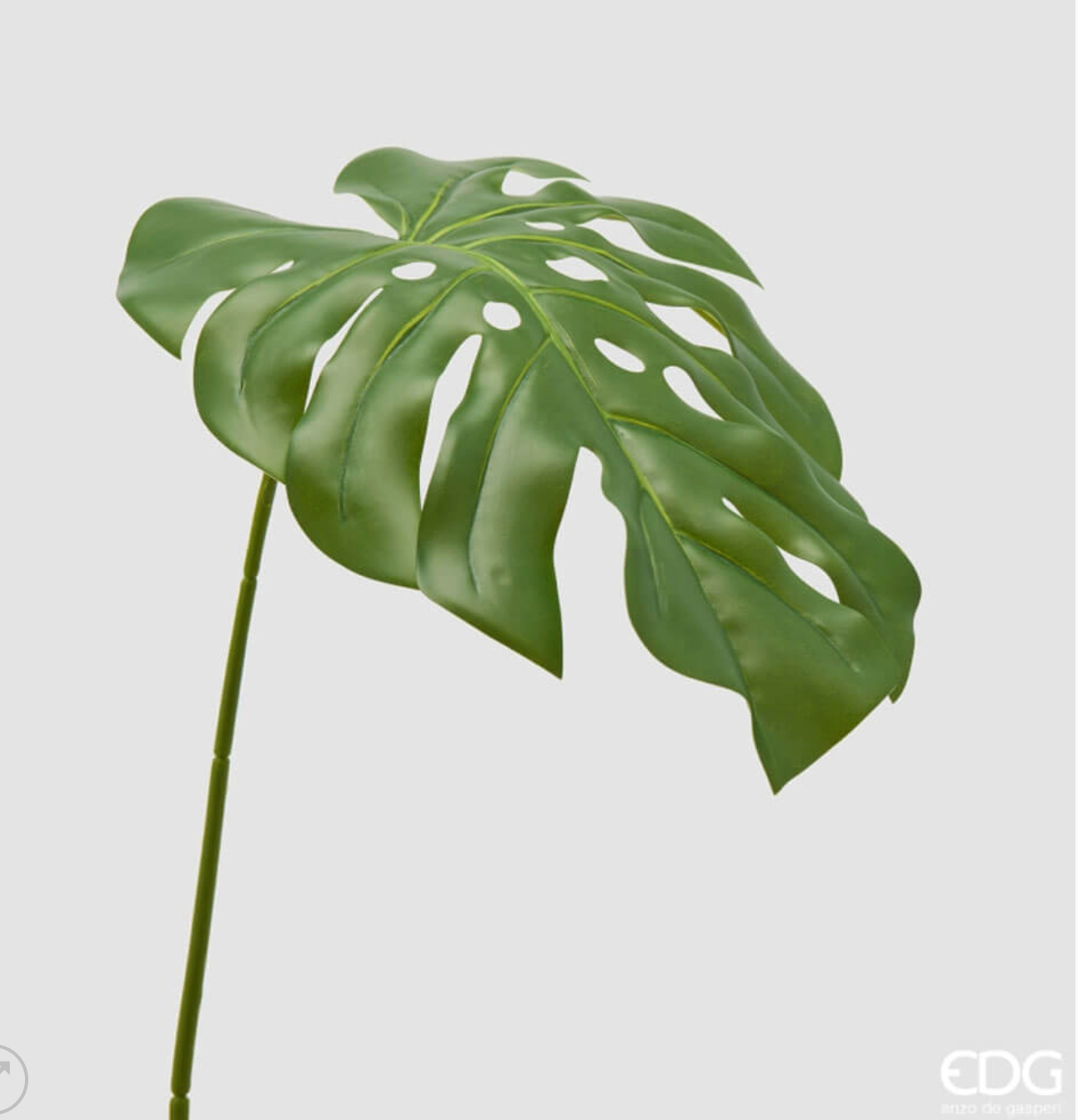 Ramo Monstera Decorativo H 75 cm EDG - Enzo De Gasperi