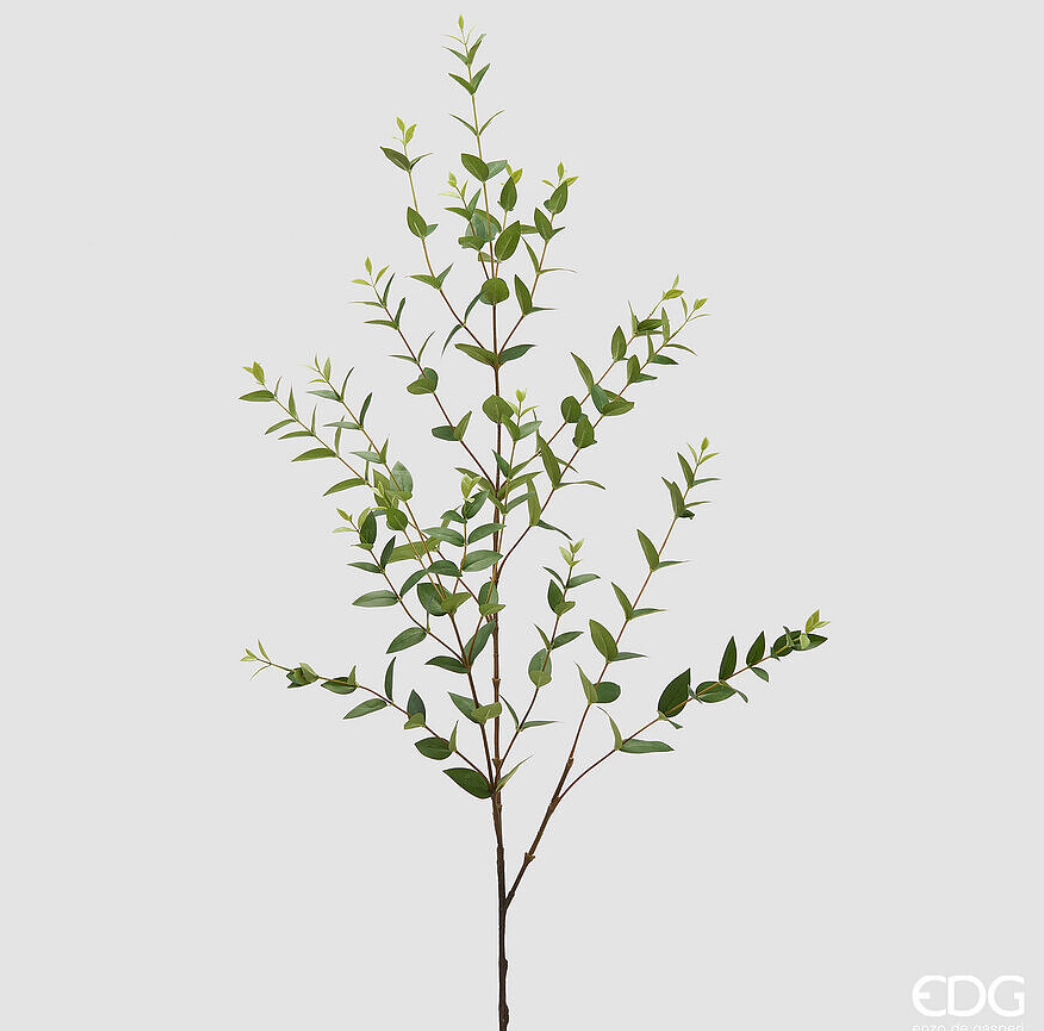 Ramo artificiale Ruscus H140cm EDG - Enzo De Gasperi