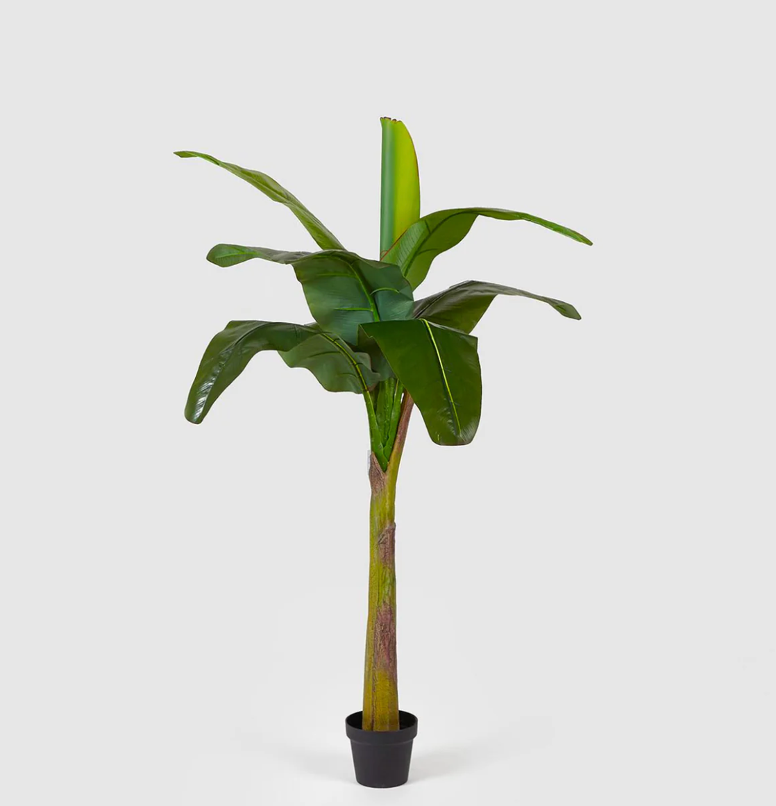 Pianta Artificiale Banano con Vaso 170cm 9 Foglie Verde EDG - Enzo De Gasperi