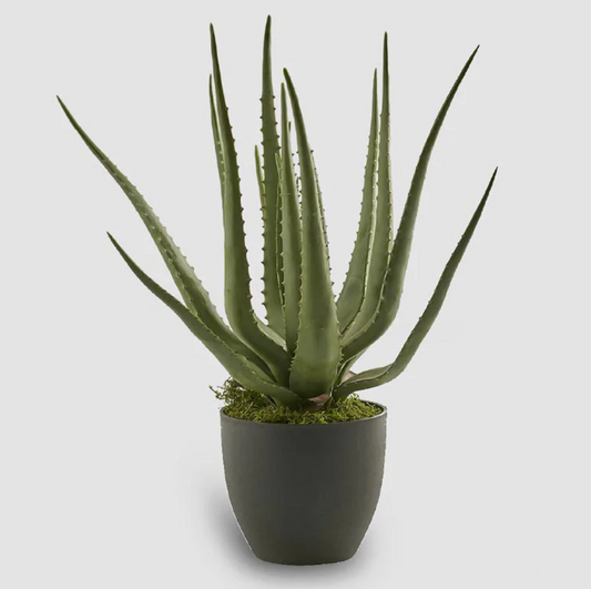 Pianta Artificiale Aloe Chic PVC Con Vaso H55 cm (17foglie) EDG - Enzo De Gasperi