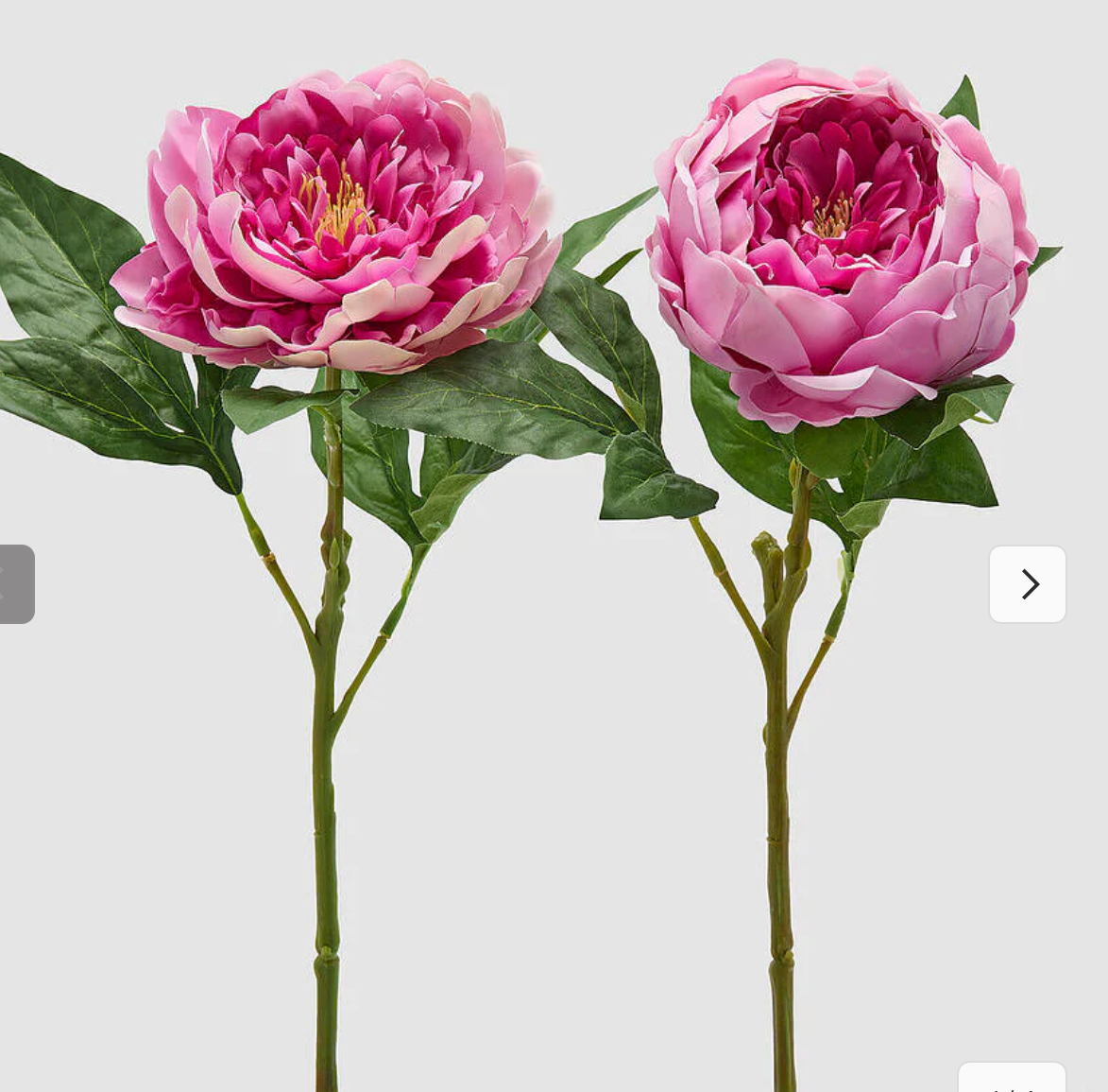 Fiore Peonia Dea Artificiale H66cm EDG - Enzo De Gasperi