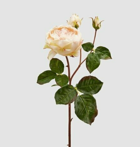 Fiore Artificiale Rosa Dea inglese H57cm EDG - Enzo De Gasperi