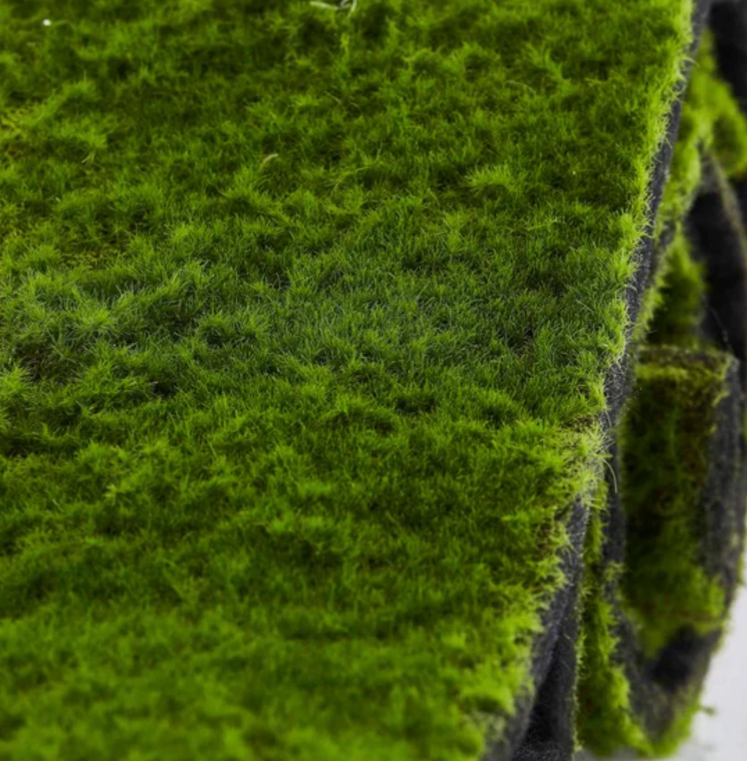 Pannello Muschio Decorativo 100x100 cm Verde Intenso EDG - Enzo De Gasperi