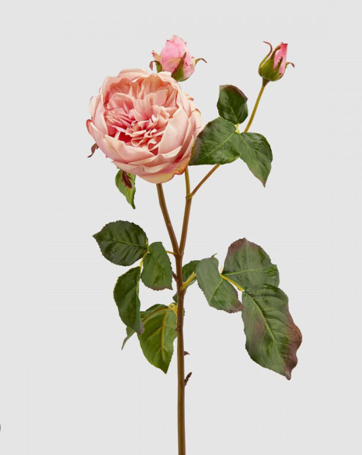 Fiore Artificiale Rosa Dea inglese H57cm EDG - Enzo De Gasperi