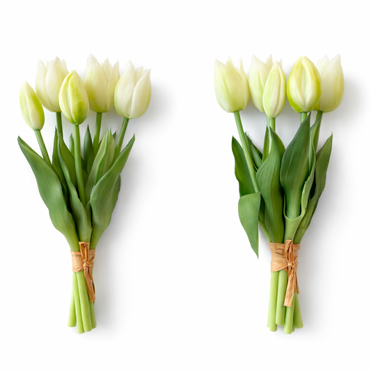 Tulipani Icona Bellomia – Set 2 Bouquet Mini da 5 Steli 26 cm