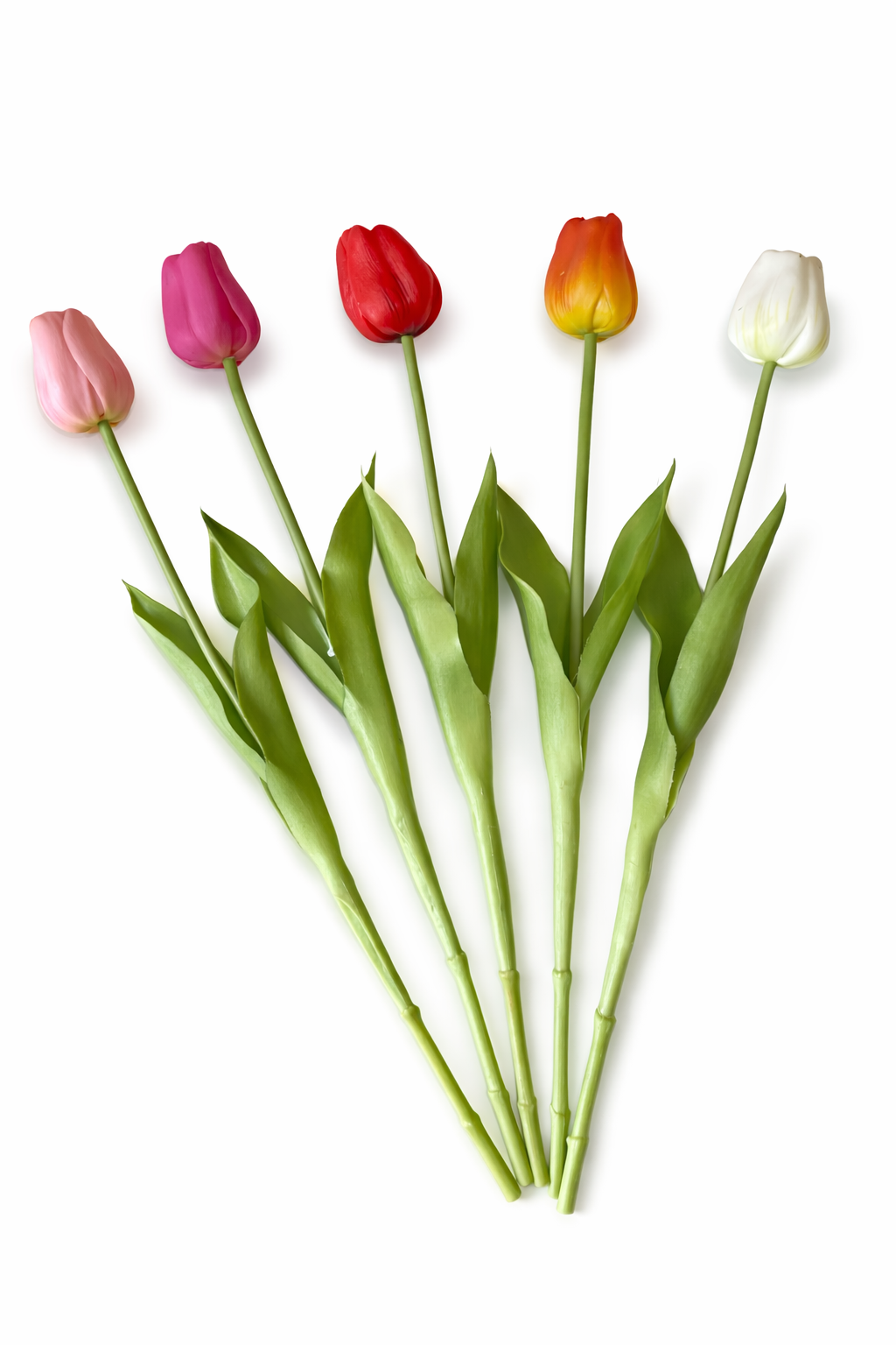 Tulipano Icona Bellomia – Stelo Singolo Soft Touch 45 cm