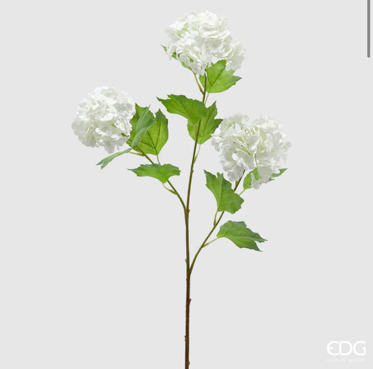 Ramo di Viburno EDG Enzo De Gasperi – 3 Fiori con Foglie H70cm