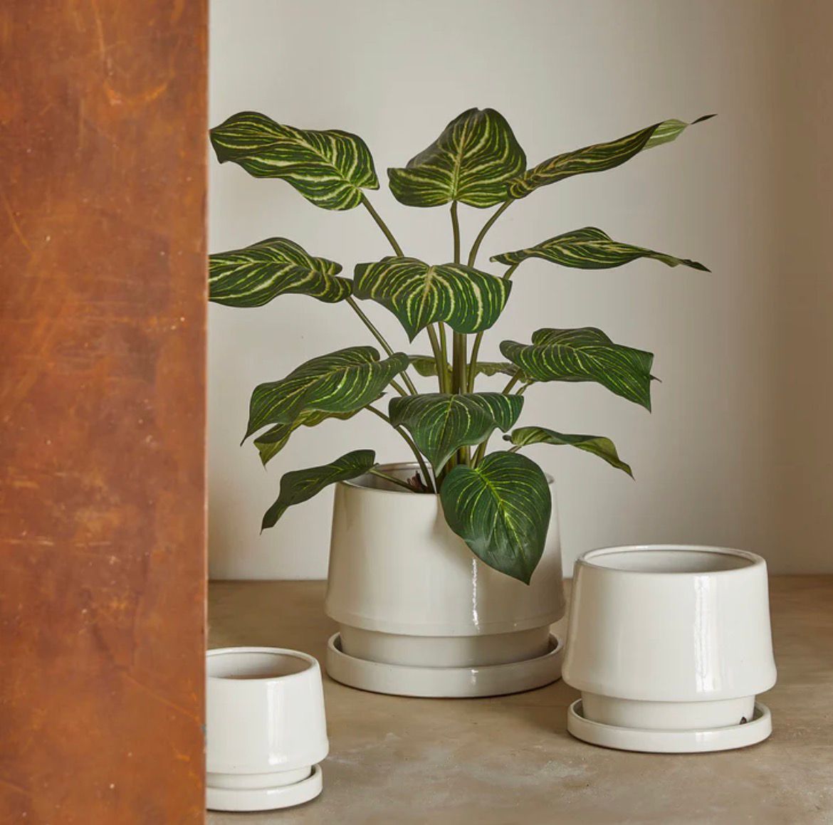 EDG Enzo De Gasperi Pianta Artificiale Calathea con Vaso H60 cm