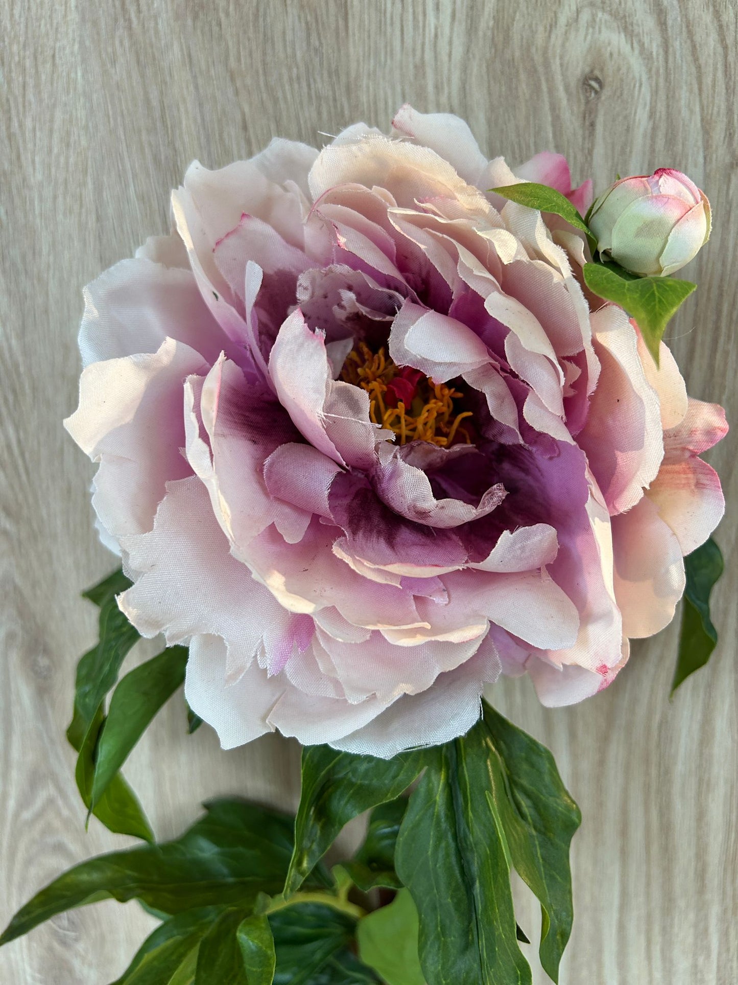 Fiore Peonia Dea Artificiale H66cm EDG - Enzo De Gasperi