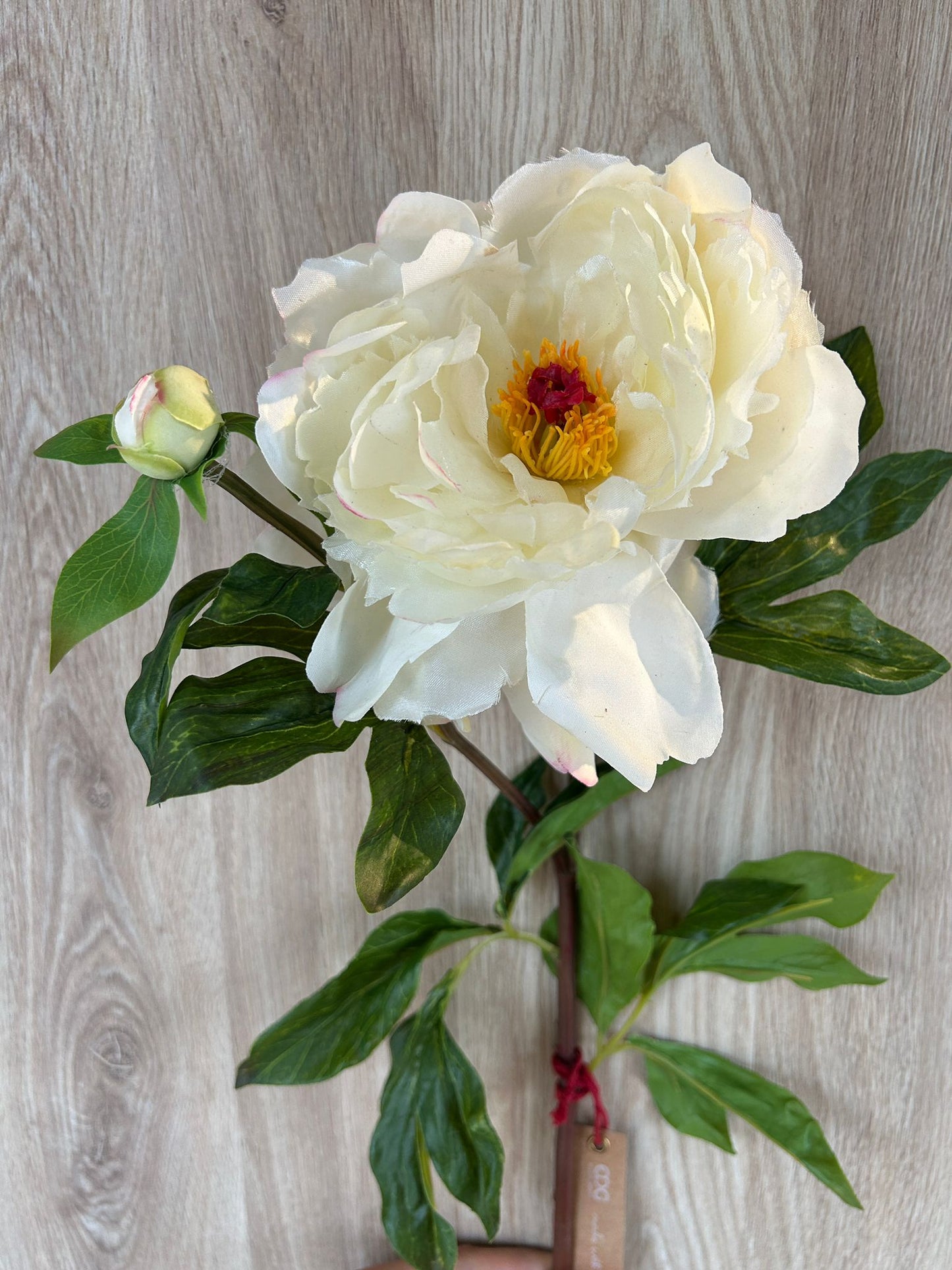 Fiore Peonia Dea Artificiale H66cm EDG - Enzo De Gasperi