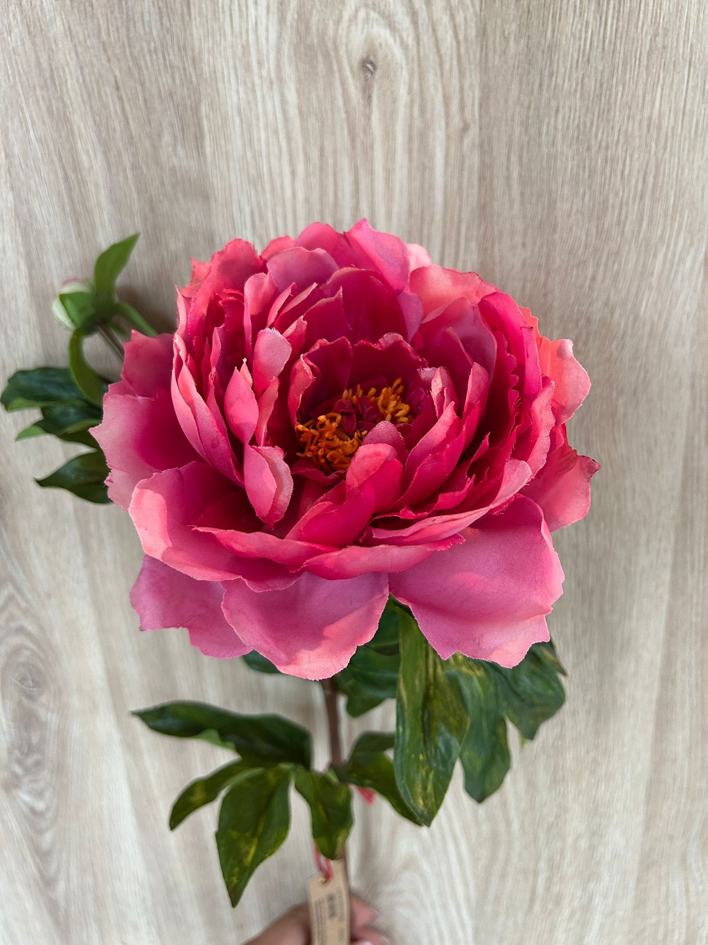 Fiore Peonia Dea Artificiale H66cm EDG - Enzo De Gasperi