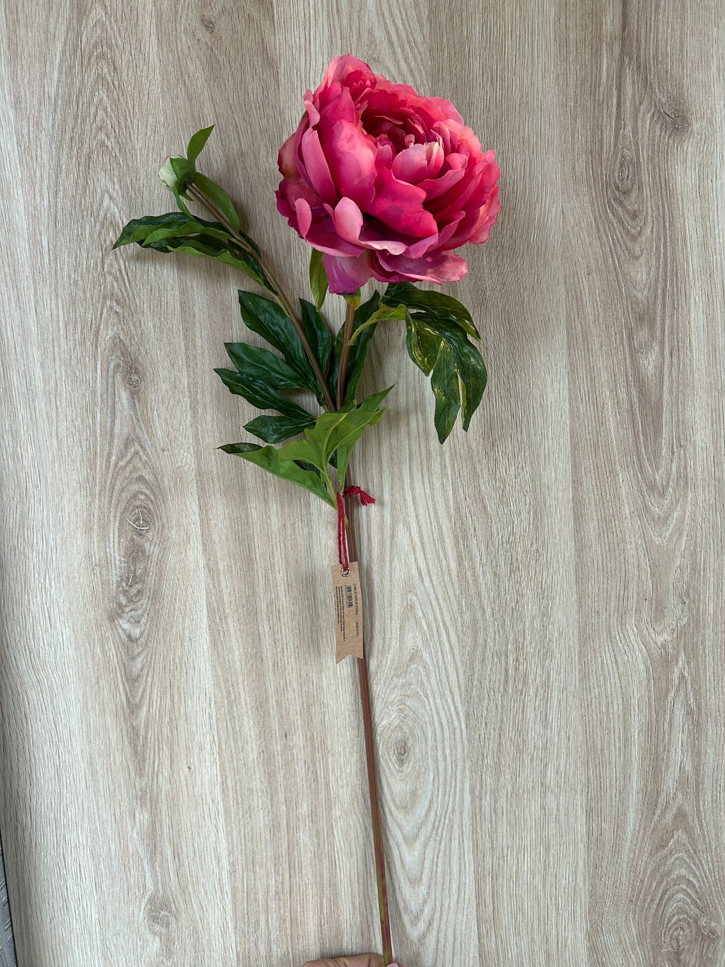 Fiore Peonia Dea Artificiale H66cm EDG - Enzo De Gasperi
